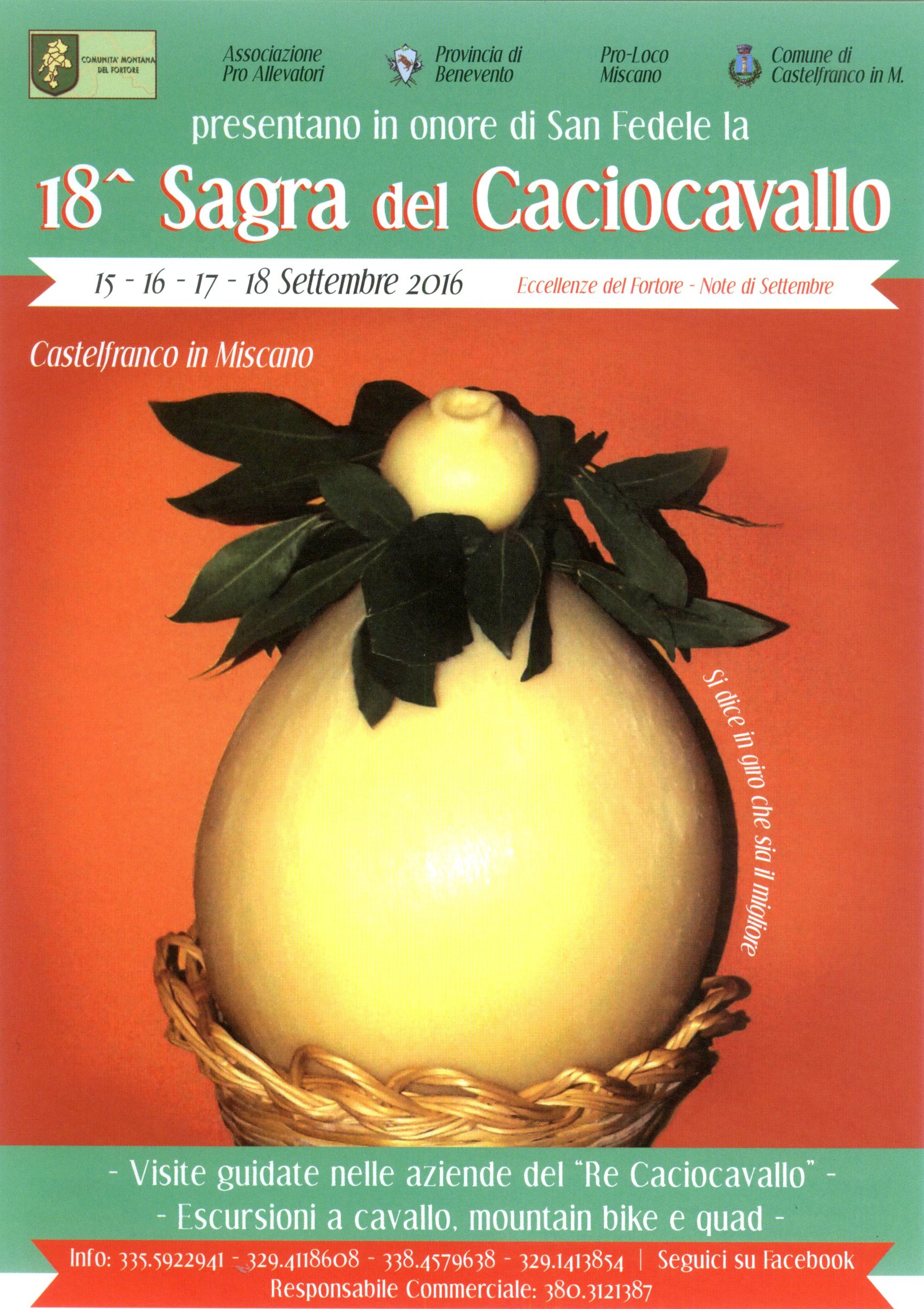 Sagra caciocavallo 2015